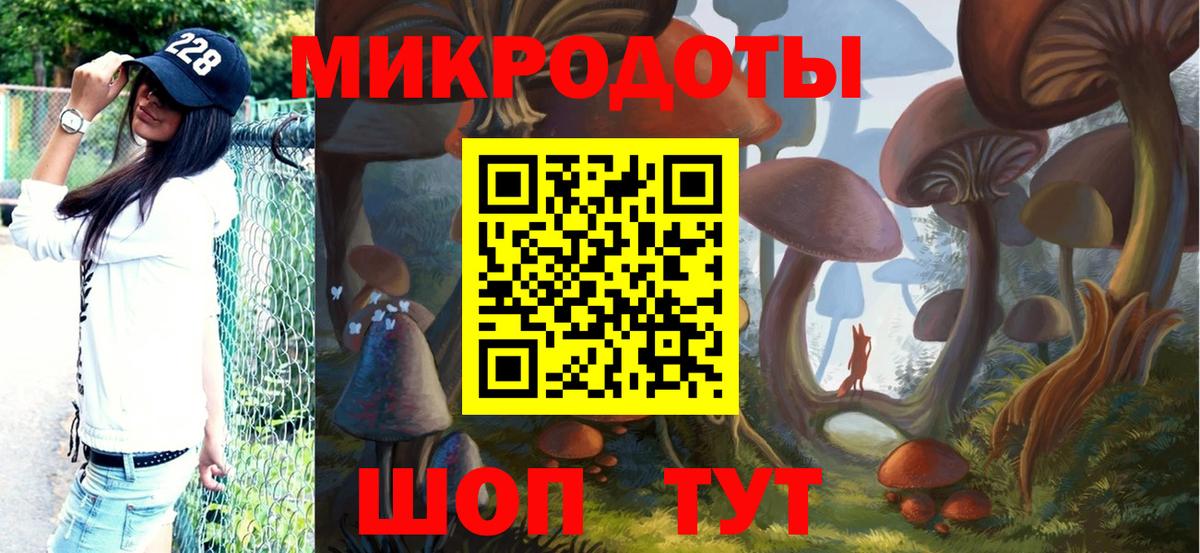 Псилоцибиновые грибы мицелий Кемерово