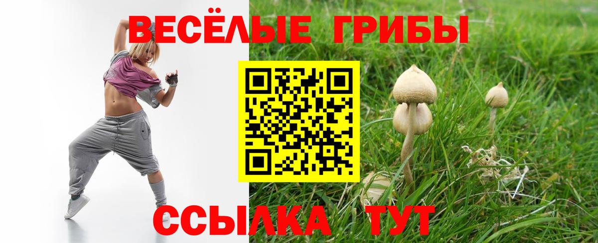 Галлюциногенные грибы MAGIC MUSHROOMS  Псилоцибиновые грибы GOLDEN TEACHER  Вход с VPN  купить   Кемерово 